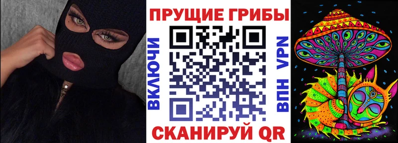продажа наркотиков  Каспийск  Псилоцибиновые грибы MAGIC MUSHROOMS 