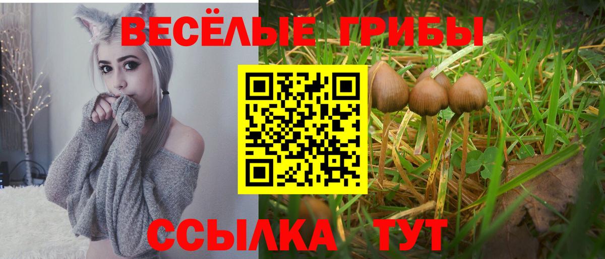 Каспийск  Псилоцибиновые грибы MAGIC MUSHROOMS  Вход с VPN 