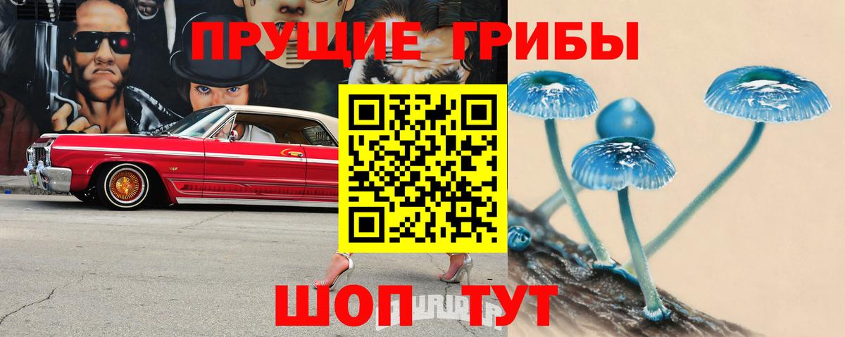 Псилоцибиновые грибы GOLDEN TEACHER Каспийск